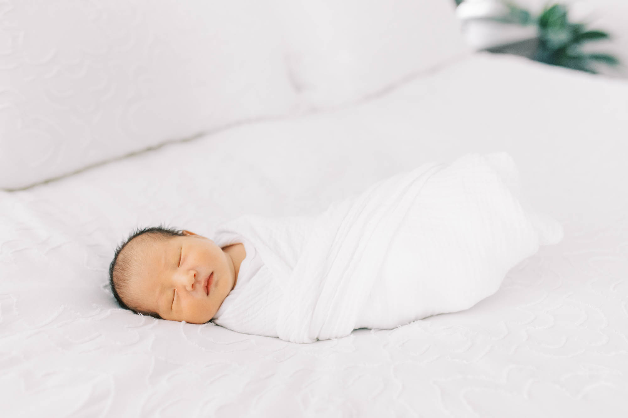 durham newborn photographer-1.jpg