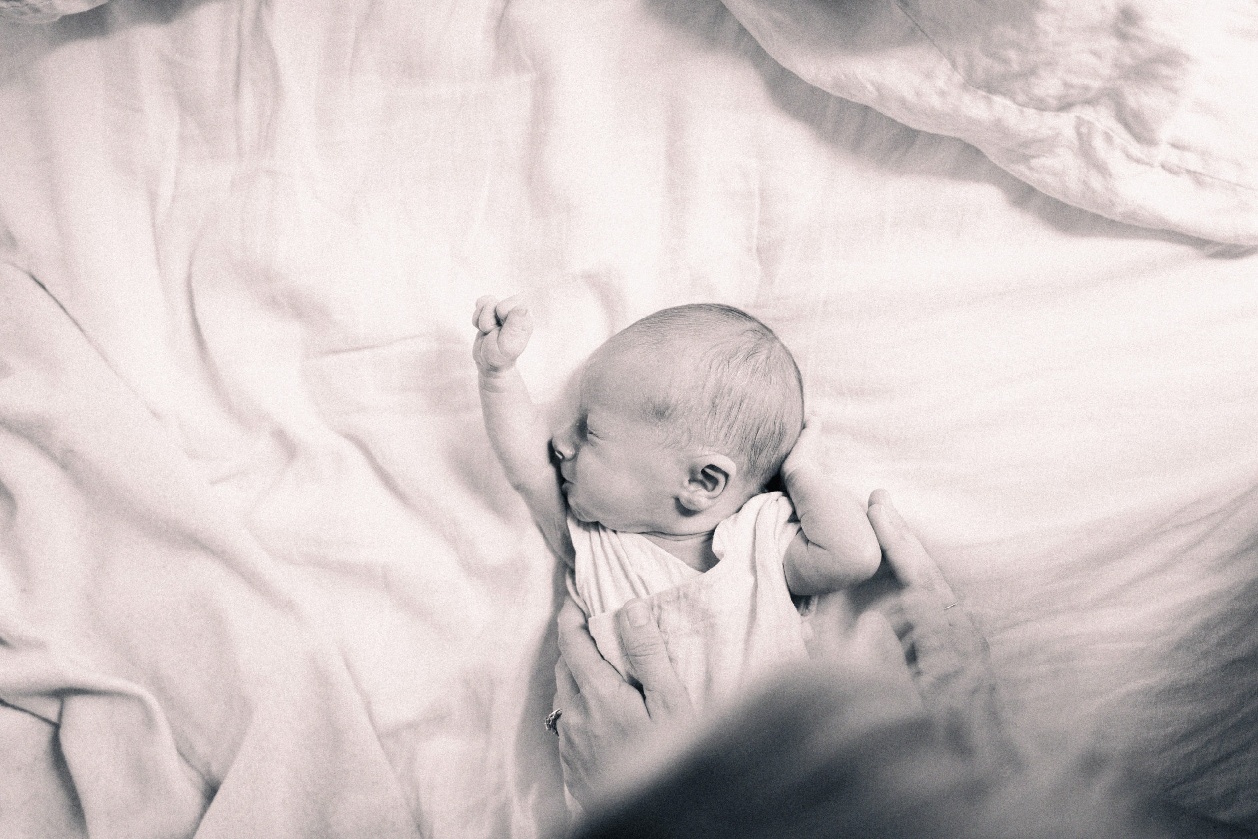 newborn photographer raleigh-31.jpg
