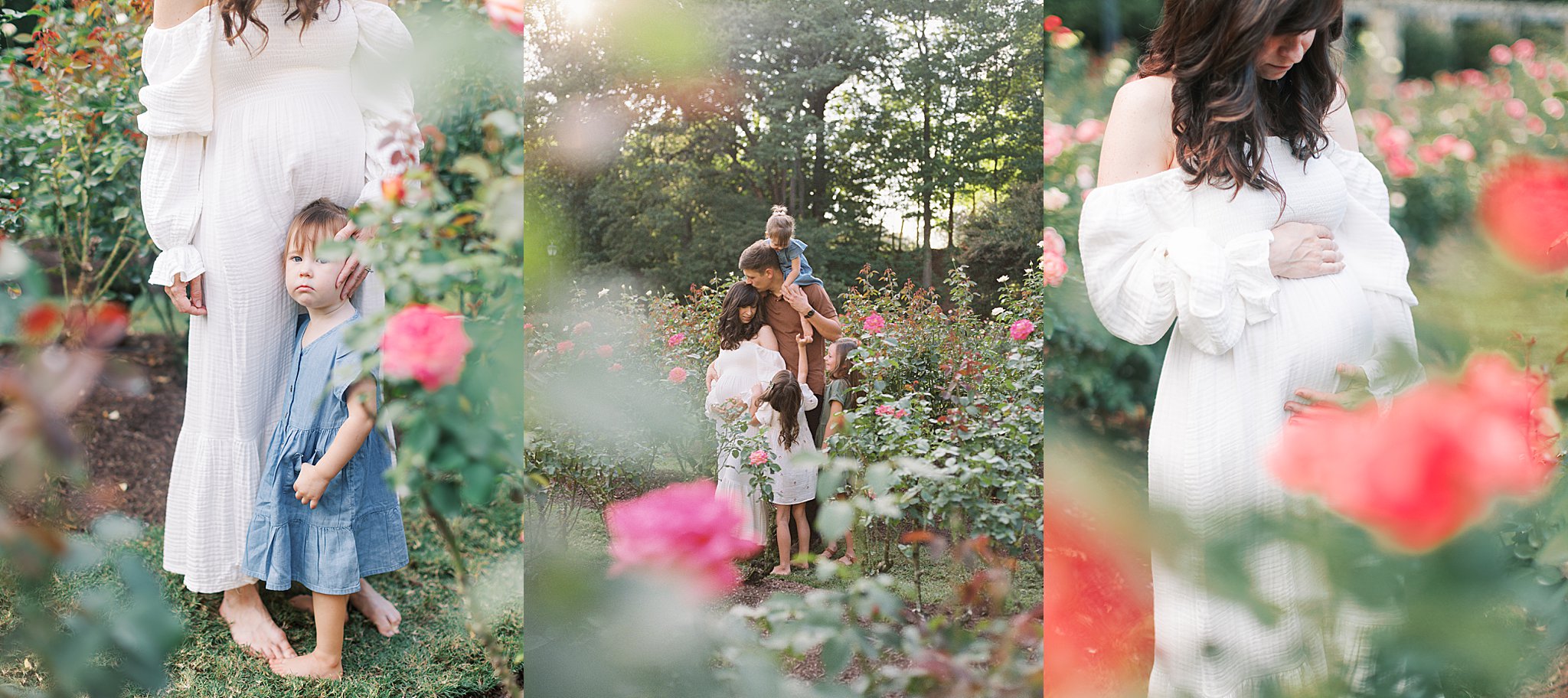 Raleigh rose garden family photos