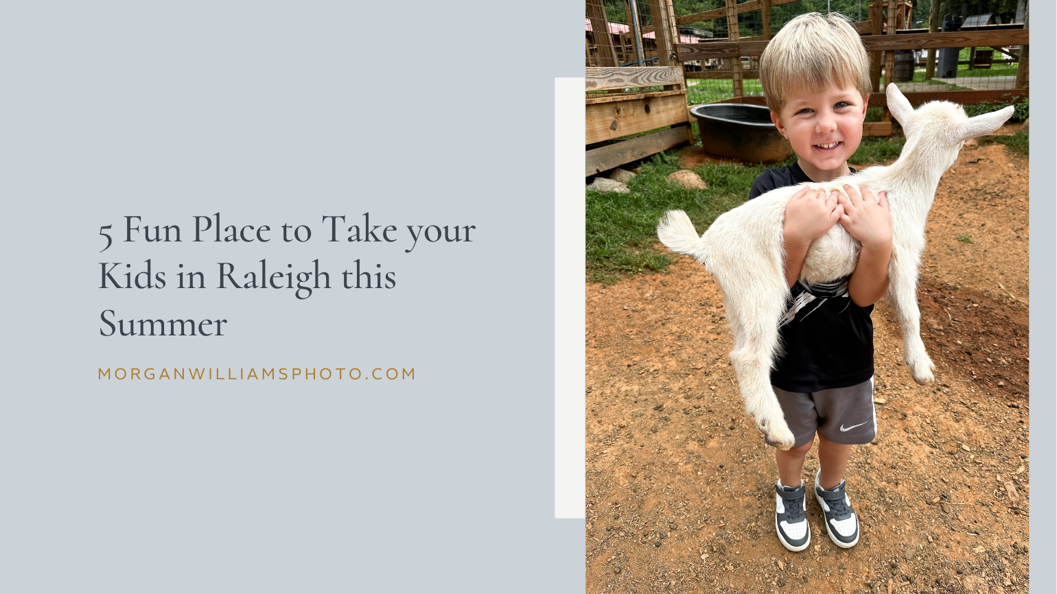 things to do with kids in raleigh in summer 1